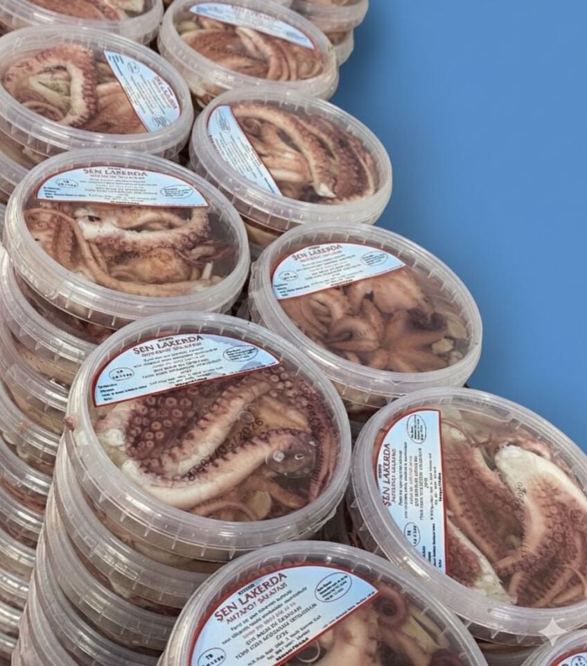 Ahtapot Salatası